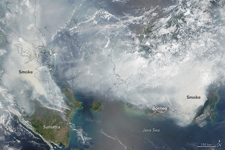 泥炭地火，苏门答腊和婆罗洲